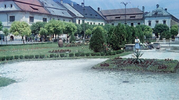 centrul vechi baia mare 1960